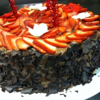 graziellas-iphone-pics-037